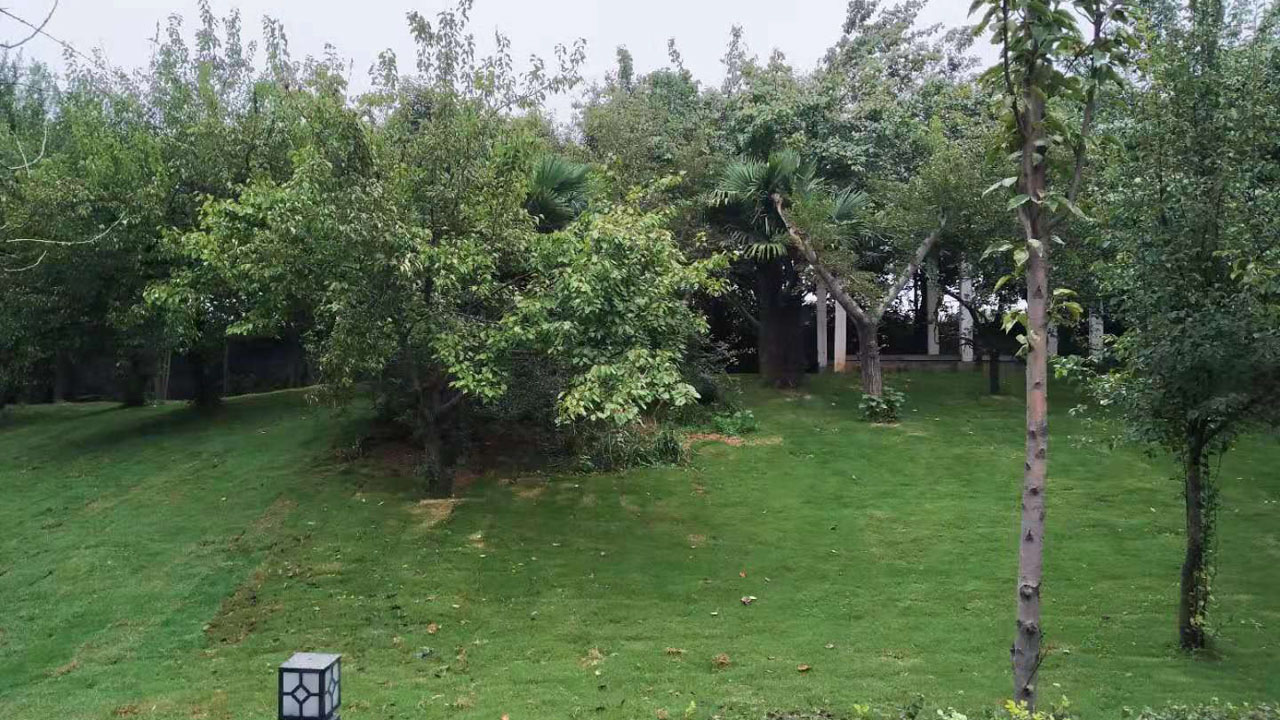 微信图片_20201118174714